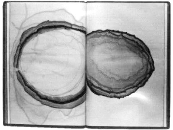 Abb.: Buch Nr. 66, 1979