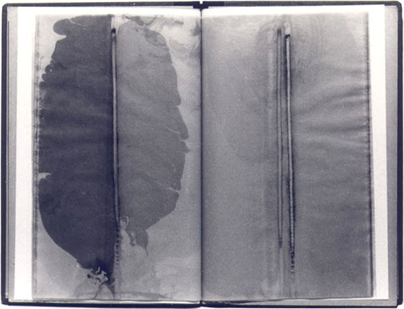 Abb.: Buch Nr. 76, 1979