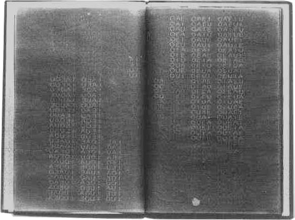 Abb.: Buch Nr.88, "vokalvariationen", 1980